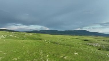 Kırsal manzaranın havadan görünüşü. Mor, turuncu ve yeşil bitkilerin gölgeli bulutlar. Dramatik bir gökyüzü. Yüksek kaliteli stok fotoğrafı