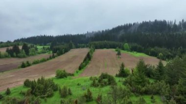Hava aracının tarım arazisi, ormanların tahrip edilmesi, tarım, küresel ısınma ve çevre gibi sağlıklı bir ormanın yerini alıyor. 4K yüksek kaliteli stok görüntüleri.