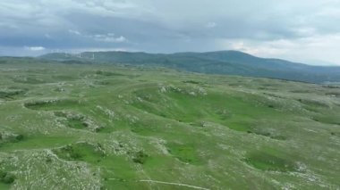 Vahşi Doğada Dörtnala Koşan Vahşi Atlar Sürüsünün Üzerindeki Destansı Hava Altın Saat Atlı Çiftleşme Ekolojik Keşif Gücü ve Dayanıklılık Konsepti 4K. Merhaba Kaliteli hisse