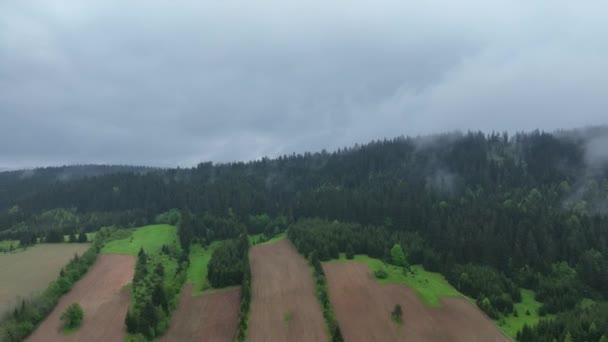 Pandangan Udara Terhadap Lahan Pertanian Terjadi Hutan Yang Sehat Konsep — Stok Video