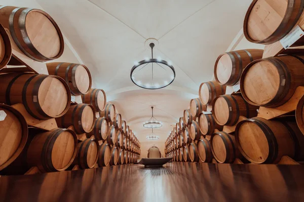 Wine Cognac Barrels Cellar Winery Wooden Wine Barrels Perspective Wine — Stock Photo, Image