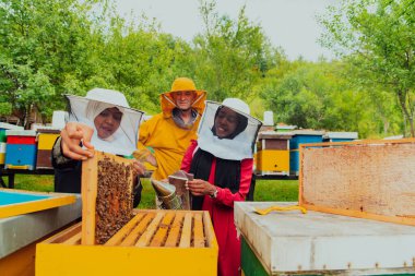 Business partners with an experienced senior beekeeper checking the quality and production of honey at a large bee farm. 