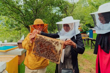 Business partners with an experienced senior beekeeper checking the quality and production of honey at a large bee farm. 