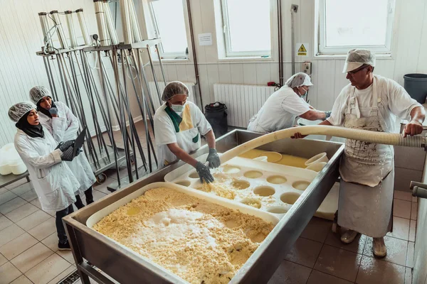 Arab Business Partners Oversee Cheese Production Modern Industry — Fotografia de Stock