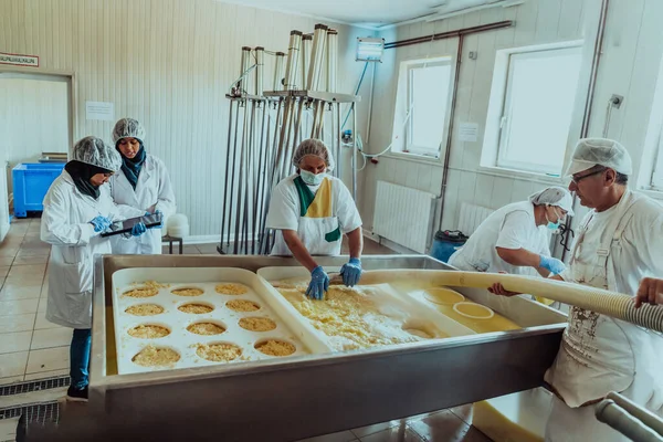阿拉伯商业伙伴监督现代工业的奶酪生产 — 图库照片