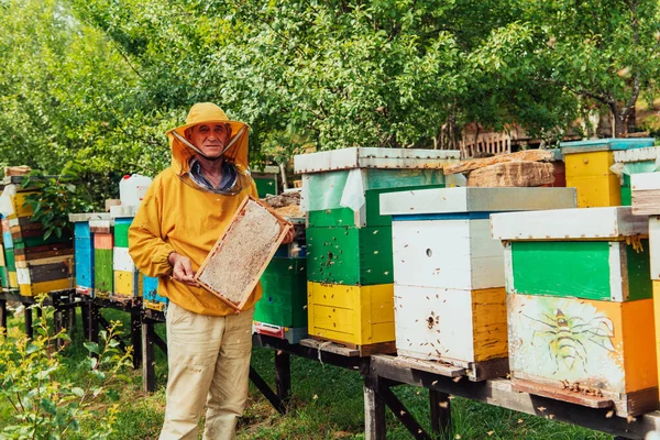 Högre Biodlare Kontrollerar Hur Honungsproduktionen Fortskrider Foto Biodlare Med Honungskam — Stockfoto