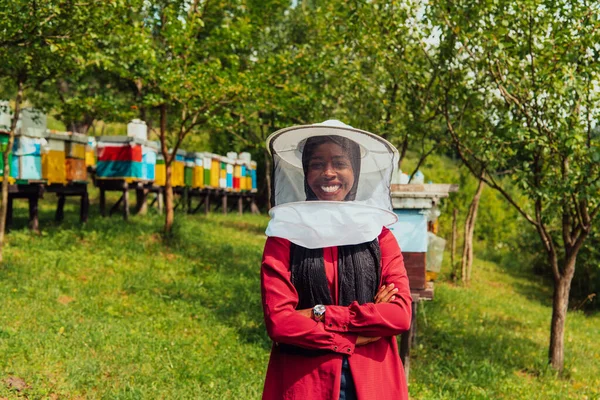 大規模な蜂蜜農場に位置するアラブの投資家の肖像画 中小企業への投資 — ストック写真