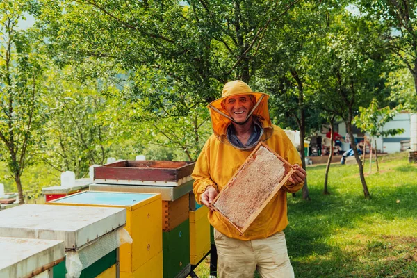Старший Бджоляр Перевіряє Розвивається Виробництво Меду Фото Бджоляра Гребенем Меду — стокове фото