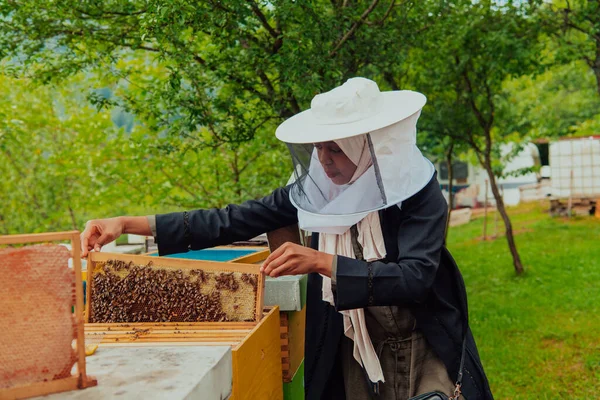 Hijab Arabian Kvinna Kontrollera Kvaliteten Honung Den Stora Gård Där — Stockfoto