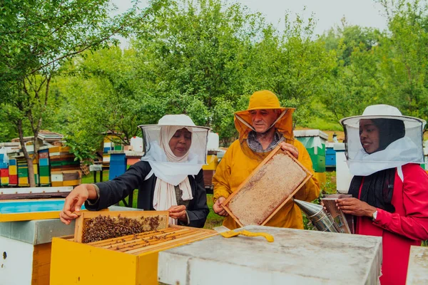 Business Partners Experienced Senior Beekeeper Checking Quality Production Honey Large —  Fotos de Stock