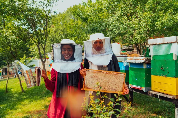 Arab Investors Checking Quality Honey Large Honey Farm Which Invested — Fotografie, imagine de stoc