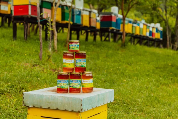 Naturliga Honungsprodukter Fotograferade Honungsgård Pollen Honung Och Olika Honungsprodukter — Stockfoto