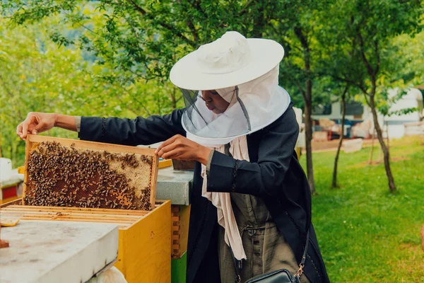 Hijab Arabian Woman Checking Quality Honey Large Bee Farm Which — Stock fotografie