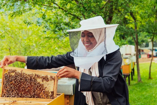在她投资的大型养蜂场里 阿拉伯妇女正在检查蜂蜜的质量 — 图库照片