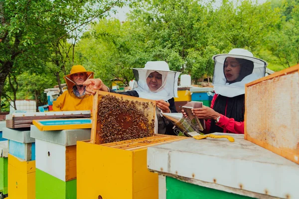 Business Partners Experienced Senior Beekeeper Checking Quality Production Honey Large — Foto Stock