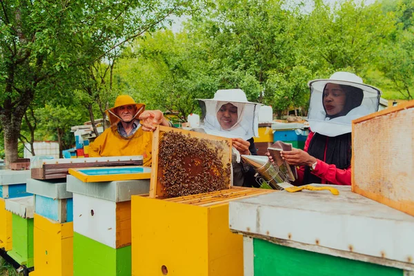 Business Partners Experienced Senior Beekeeper Checking Quality Production Honey Large — Stockfoto