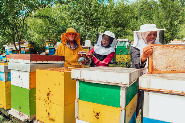  Arab investors checking the quality of honey on a large bee farm in which they have invested their money. The concept of investing in small businesses.