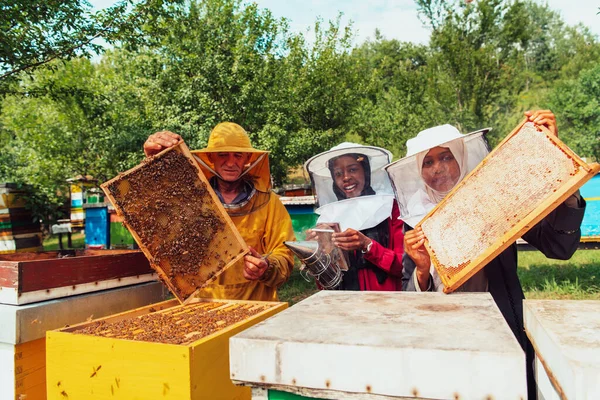 Arab Investors Checking Quality Honey Large Bee Farm Which Have — Foto Stock
