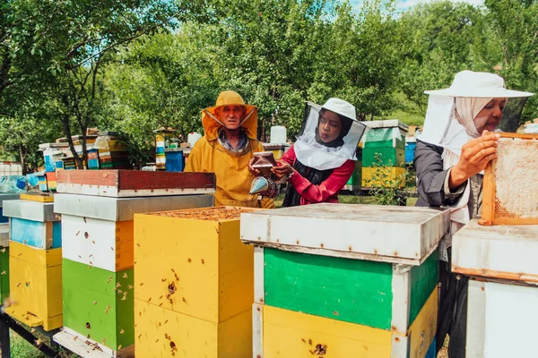 Arabští Investoři Kontrolují Kvalitu Medu Velké Včelí Farmě Níž Investovali — Stock fotografie