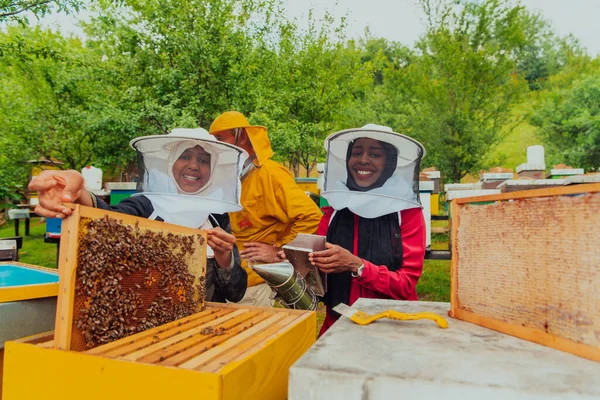Business Partners Experienced Senior Beekeeper Checking Quality Production Honey Large — Fotografie, imagine de stoc