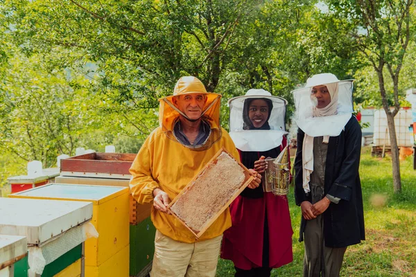 Arab Woman Investitors Experienced Senior Beekeeper Checking Quality Production Honey — Fotografie, imagine de stoc