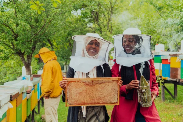 大規模な蜂蜜農場で蜂蜜の品質と生産をチェックするアラブの投資家 — ストック写真
