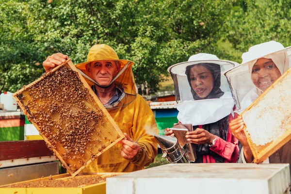 Arab Investors Checking Quality Honey Large Bee Farm Which Have — Φωτογραφία Αρχείου