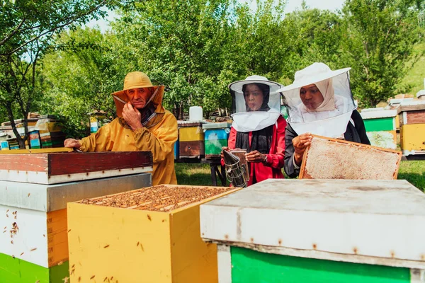 Arabiska Investerare Kontrollerar Honungens Kvalitet Stor Biodling Där Har Investerat — Stockfoto