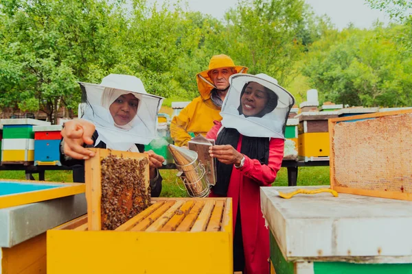 Business Partners Experienced Senior Beekeeper Checking Quality Production Honey Large — Zdjęcie stockowe