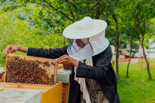 Hijab Arabian Woman Checking Quality Honey Large Bee Farm Which — Zdjęcie stockowe