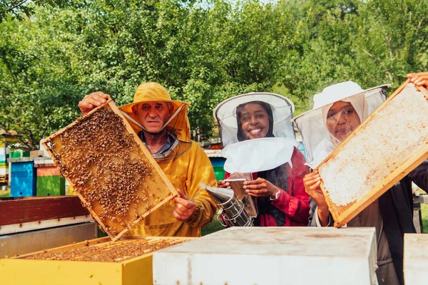 Arab Investors Checking Quality Honey Large Bee Farm Which Have — Stockfoto
