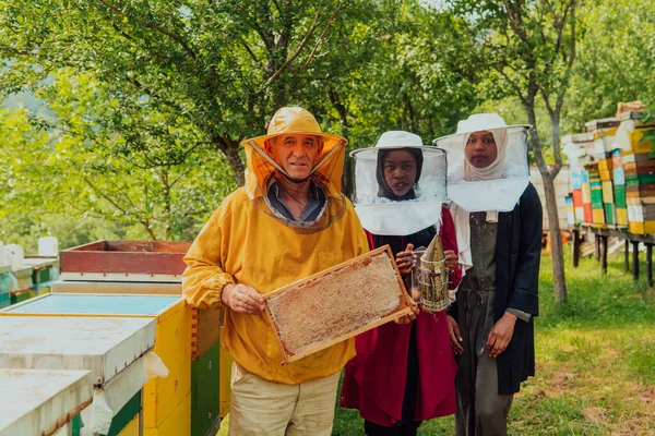 Arabskie Badaczki Doświadczonym Starszym Pszczelarzem Sprawdzające Jakość Produkcję Miodu Dużej — Zdjęcie stockowe