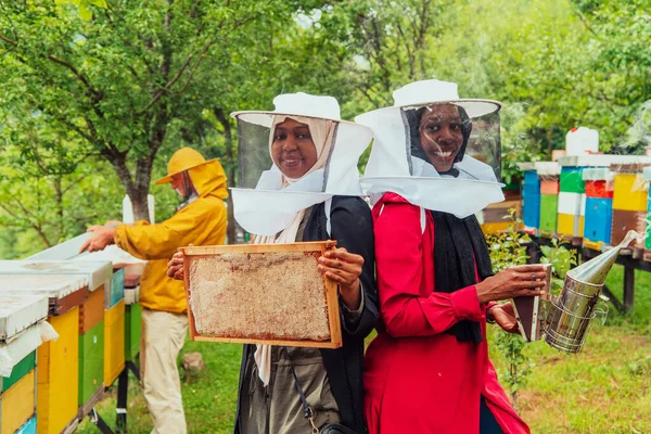 大規模な蜂蜜農場で蜂蜜の品質と生産をチェックするアラブの投資家 — ストック写真
