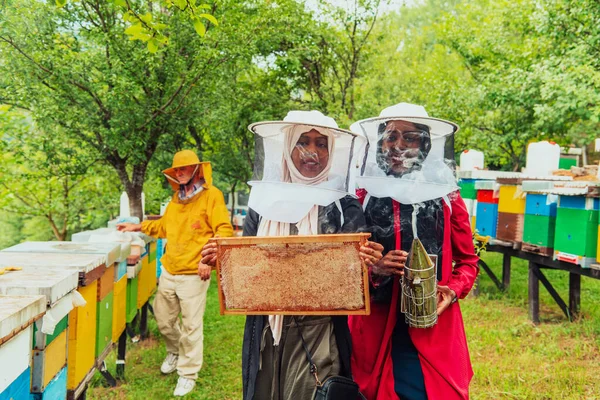 Arabische Investeerders Controleren Kwaliteit Productie Van Honing Een Grote Honingboerderij — Stockfoto