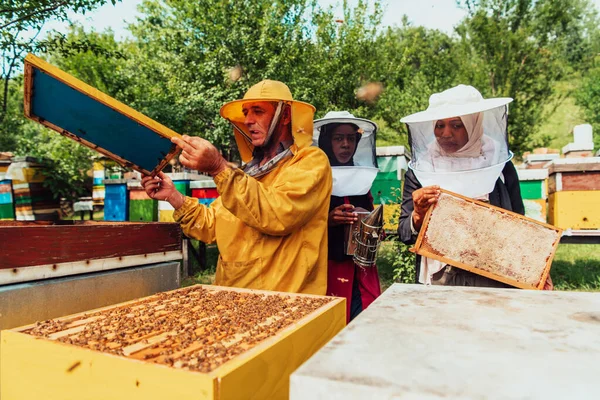 Dwóch Arabskich Inwestorów Sprawdzających Jakość Miodu Dużej Farmie Pszczół Którą — Zdjęcie stockowe