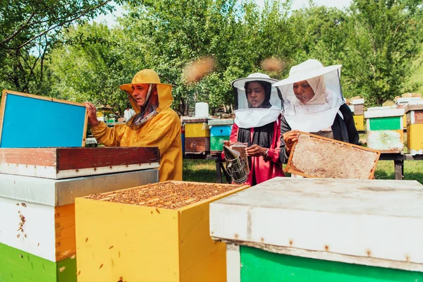 Arabiske Investorer Kontrollerer Kvaliteten Honning Stor Gård Hvor Har Investeret - Stock-foto