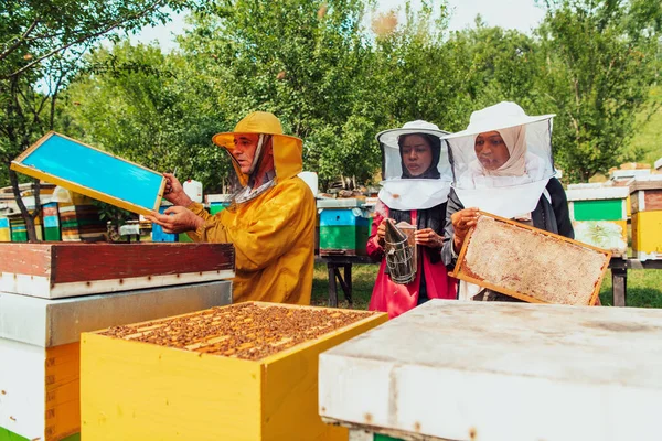 Two Arab Investors Checking Quality Honey Large Bee Farm Which — Foto Stock