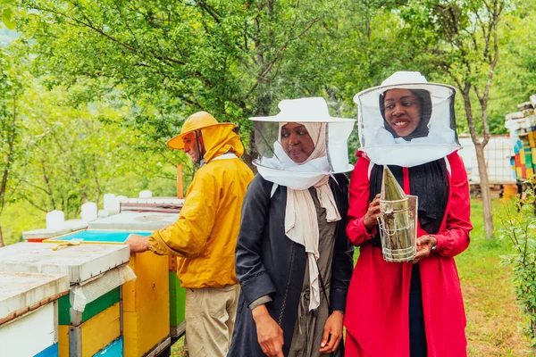 Arab Investors Checking Quality Production Honey Large Honey Farm —  Fotos de Stock