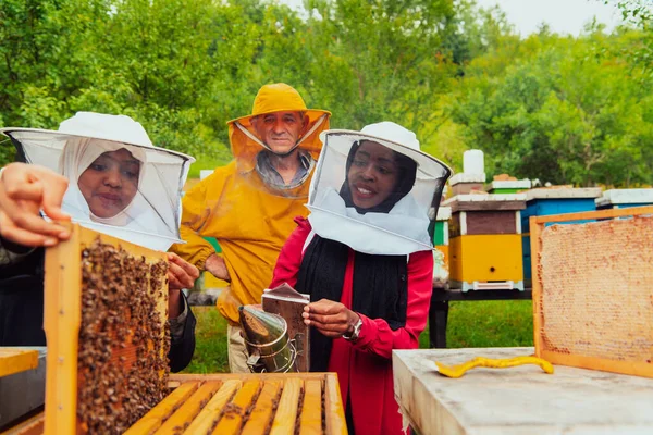 Business Partners Experienced Senior Beekeeper Checking Quality Production Honey Large — Stock Photo, Image