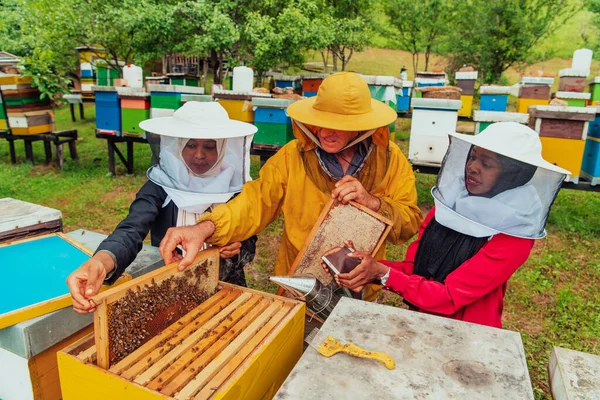 Business Partners Experienced Senior Beekeeper Checking Quality Production Honey Large —  Fotos de Stock