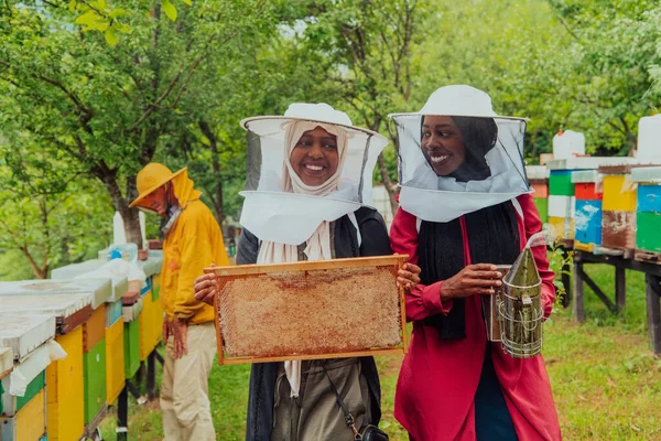 Arab Investors Checking Quality Production Honey Large Honey Farm —  Fotos de Stock
