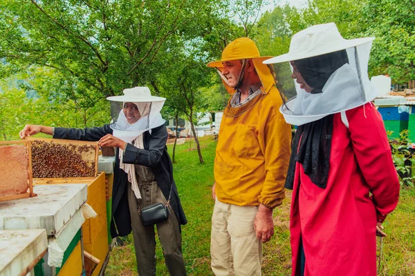 Business Partners Experienced Senior Beekeeper Checking Quality Production Honey Large — Foto Stock