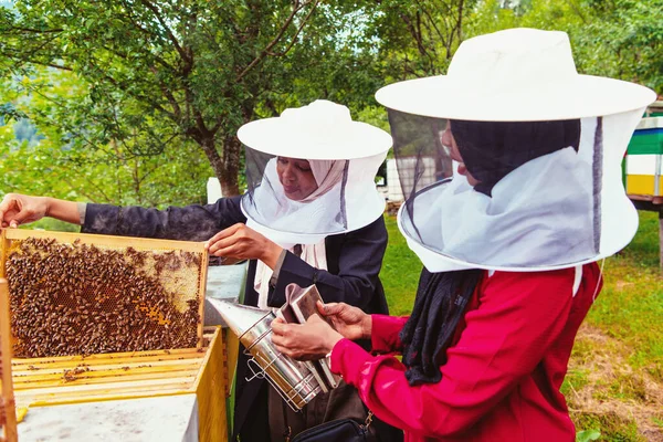 Arabische Investoren Überprüfen Die Qualität Des Honigs Auf Dem Hof — Stockfoto