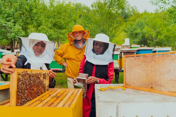 Business Partners Experienced Senior Beekeeper Checking Quality Production Honey Large — Foto Stock