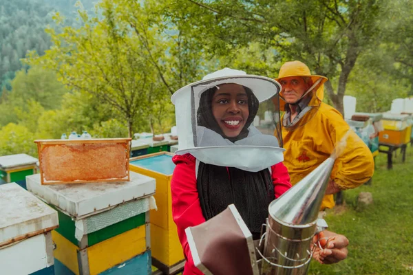 Arab Investitor Experienced Senior Beekeeper Checking Quality Production Honey Large — Stock Photo, Image