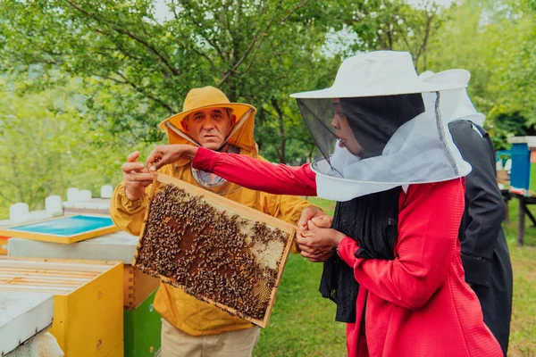 Affärspartner Med Erfaren Seniorbiodlare Som Kontrollerar Honungens Kvalitet Och Produktion — Stockfoto