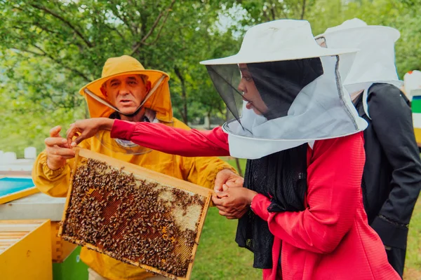 Business Partners Experienced Senior Beekeeper Checking Quality Production Honey Large — Stock fotografie