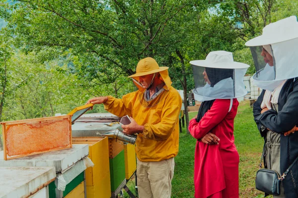 Business Partners Experienced Senior Beekeeper Checking Quality Production Honey Large — Stok fotoğraf