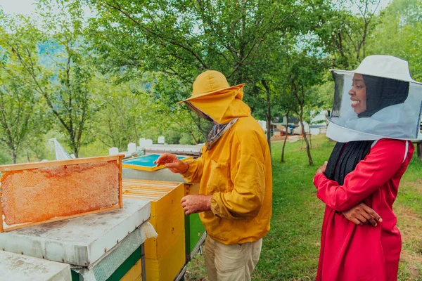 Afroamerykańskie Muzułmanki Doświadczonym Starszym Pszczelarzem Sprawdzają Jakość Produkcję Miodu Dużej — Zdjęcie stockowe