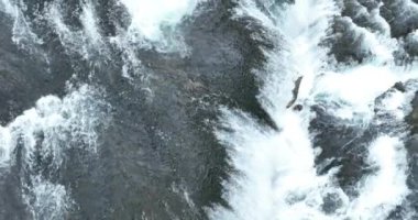 Bosna-Hersek 'te büyük bir şelaleyle vahşi nehrin destansı görüntüsünü oluşturan şaşırtıcı yavaş çekim. Kristal berrak içme suyu güzel şelale bulutlu yaz gününde.